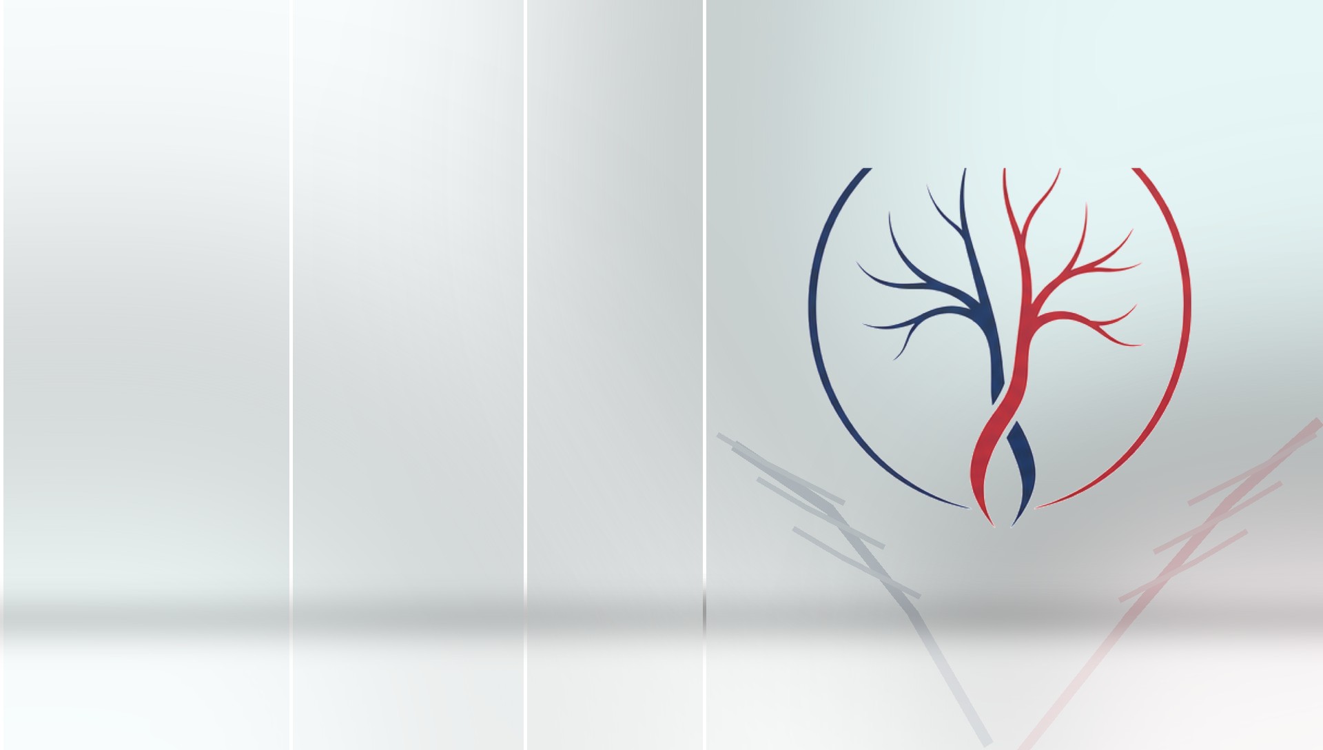Vascular Lab Clinic branded vascular diagnostics cover in Kuwait